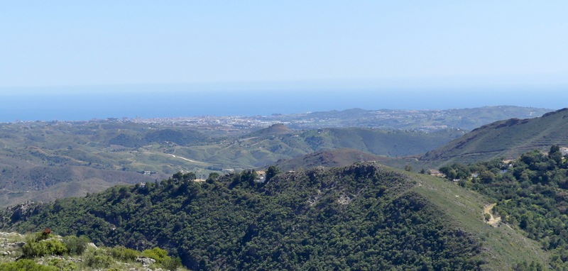 Andalusia: le orchidee e Grandi Pietre  marzo-aprile 2023.